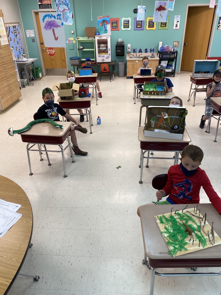 Animal projects