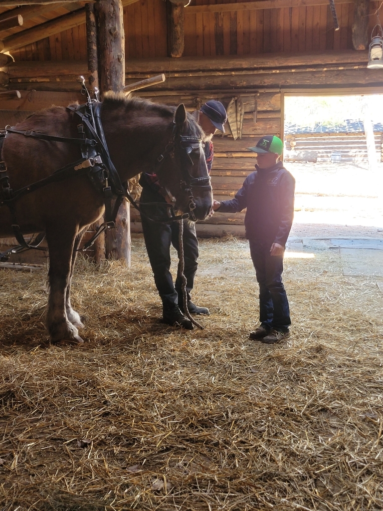 Jack petting the draft horse Jack